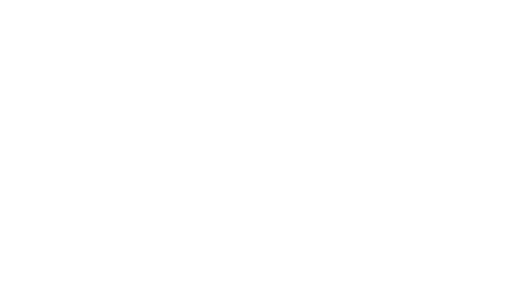 States Outline